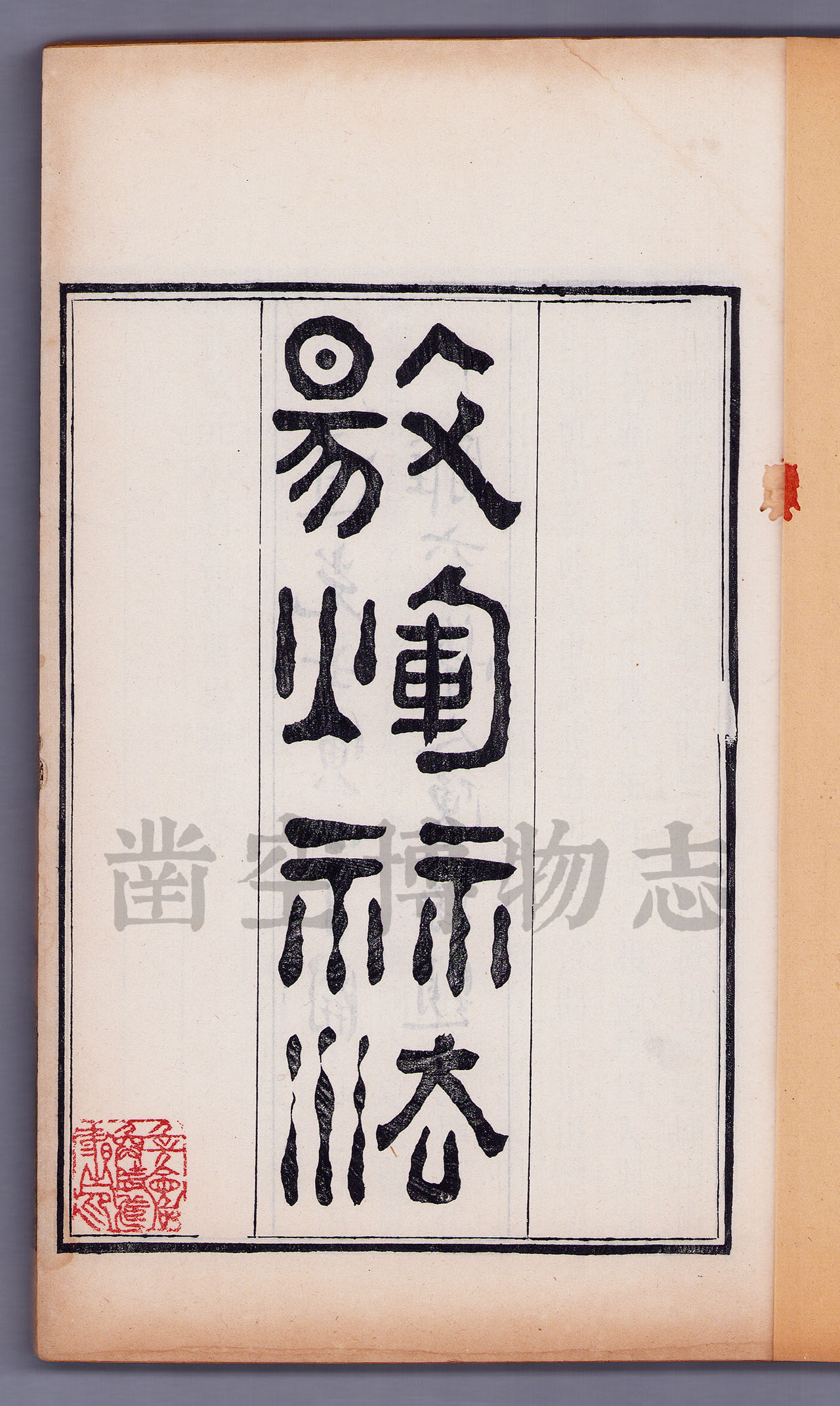 最新作の 中国硯 延年益寿 偉清 書道具 書 - abacus-rh.com